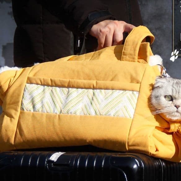 猫グッズ にゃんともあんしん避難キャリー