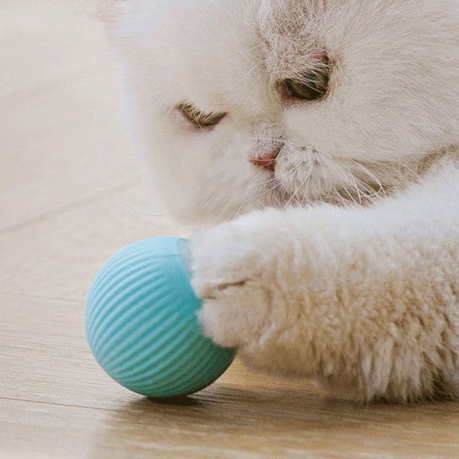 猫グッズ ぐるぐるボール 猫の狩猟本能刺激玩具