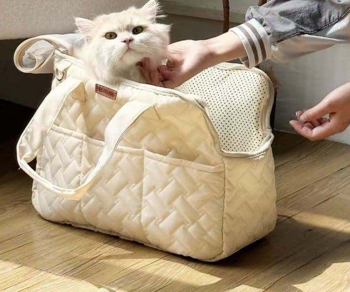 猫グッズ 猫と一緒に避難できる防災キャリーバッグ