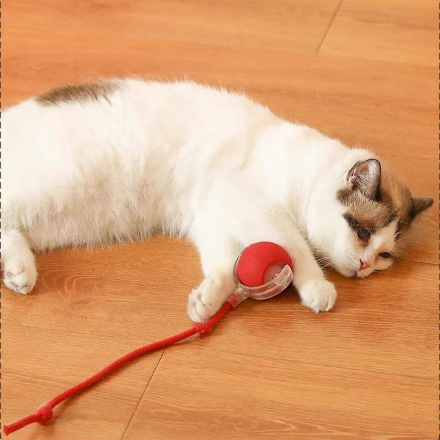猫グッズ運動不足解消グッズ自動回転ボール玩具