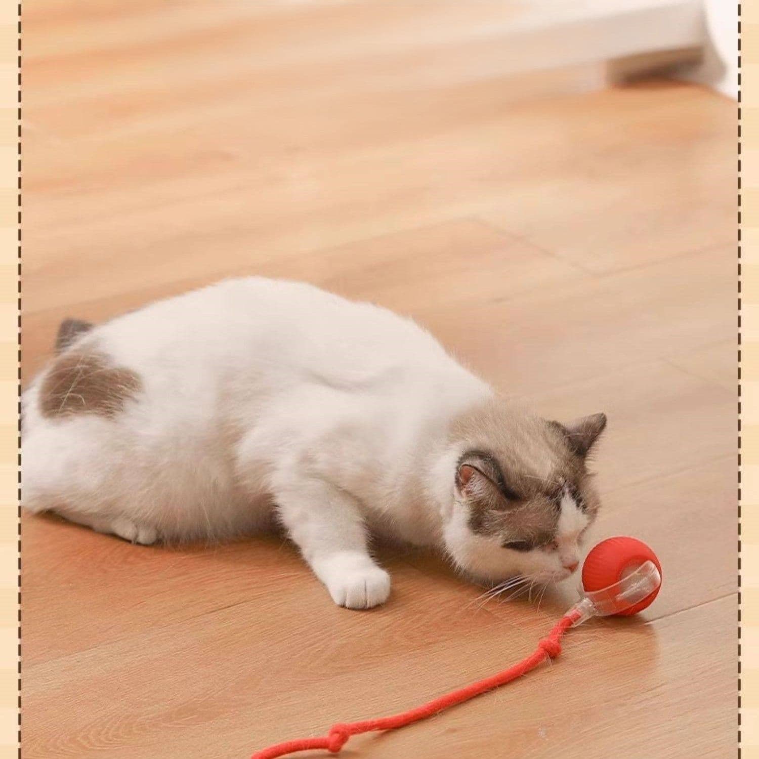 猫グッズ運動不足解消グッズ自動回転ボール玩具