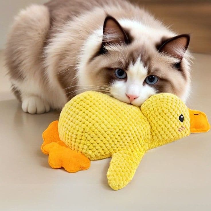 猫グッズ 猫用歯磨き効果付きあひる型けりぐるみ
