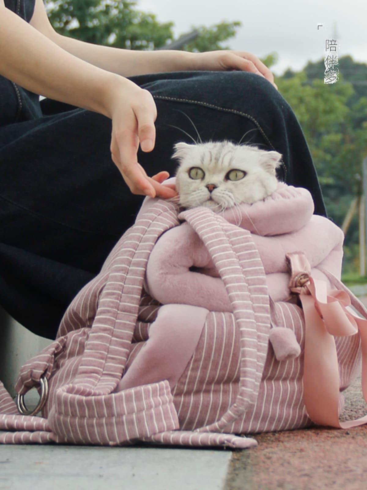 猫グッズ にゃんともあんしん避難キャリー
