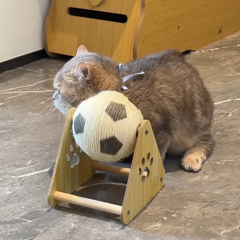 猫グッズ