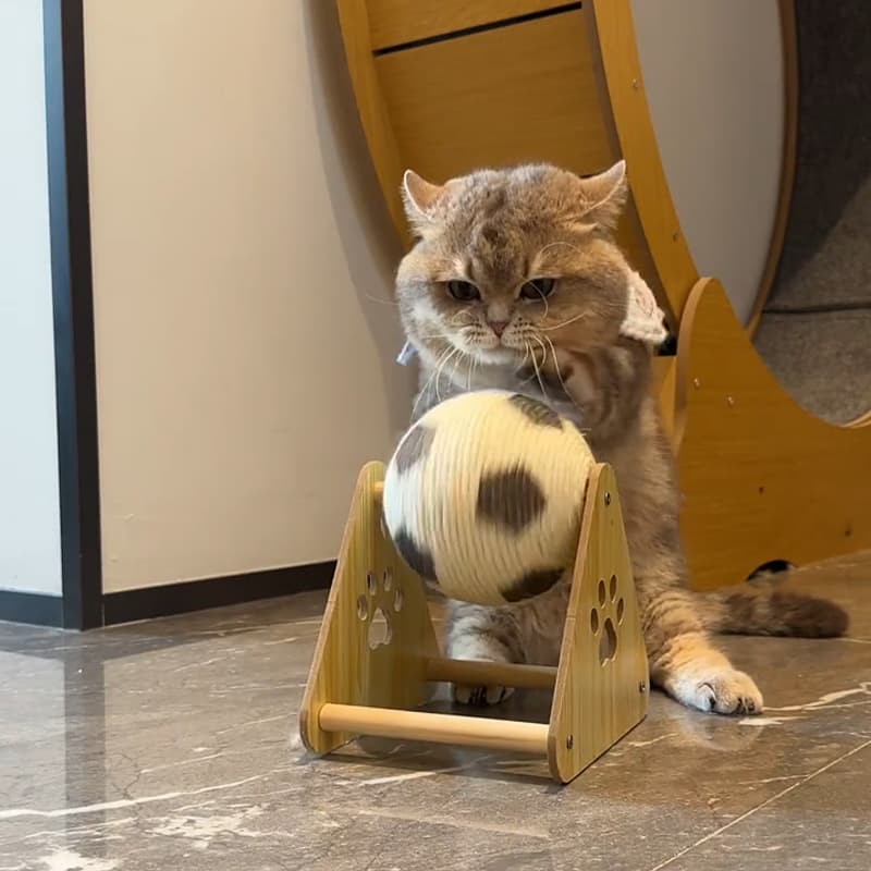 猫グッズ