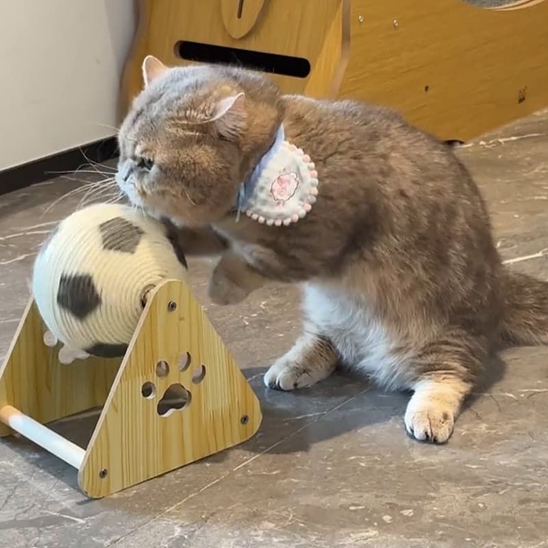猫グッズ