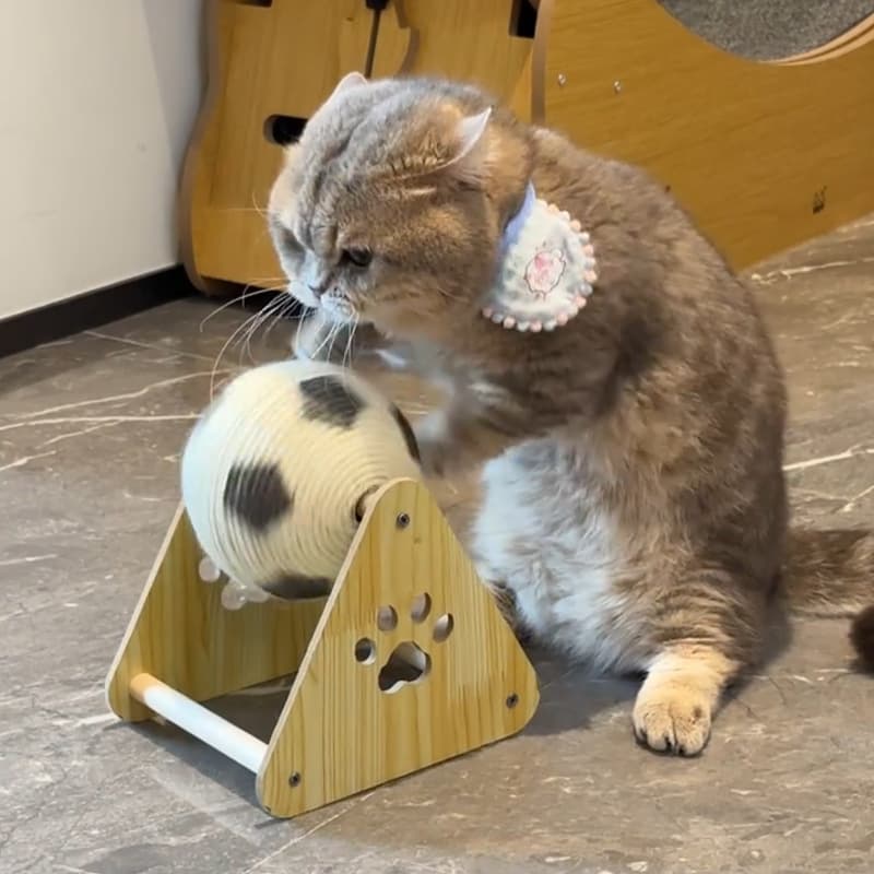 猫グッズ